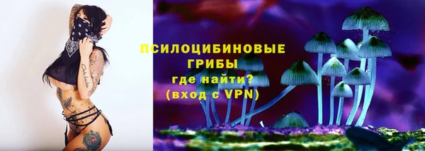 спиды Аркадак