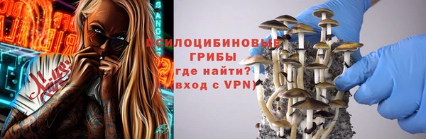 spice Арсеньев