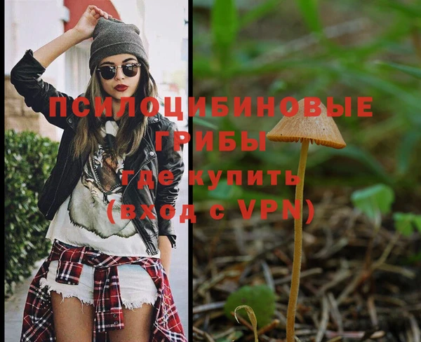 спиды Аркадак