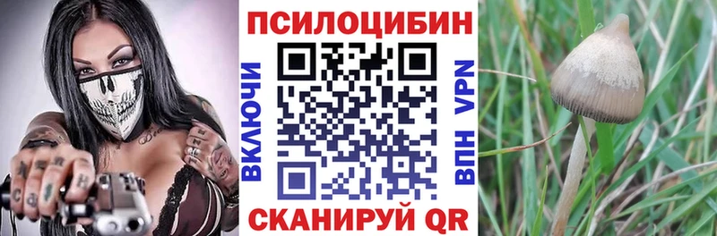 Галлюциногенные грибы прущие грибы  Саки 