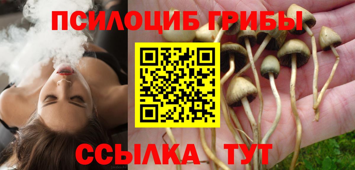 Саки  Галлюциногенные грибы GOLDEN TEACHER  Вход с VPN 